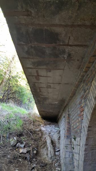 Pulizia sotto i ponti con cestello in negativo