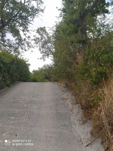 Sistemazioni di strade