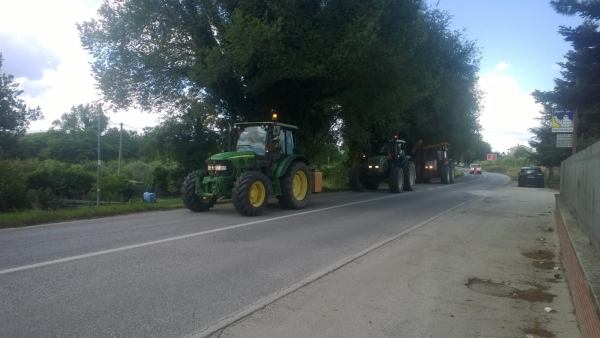 Taglio erba e potature