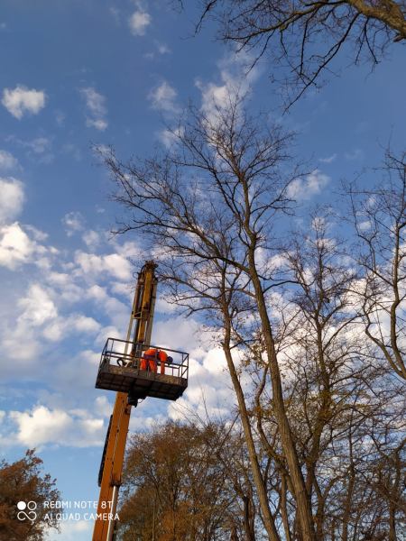 Taglio erba e potature