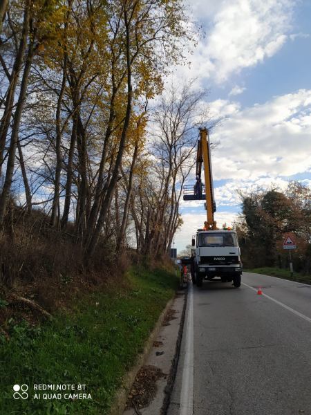 Taglio erba e potature