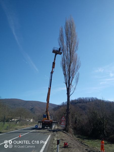 Taglio erba e potature