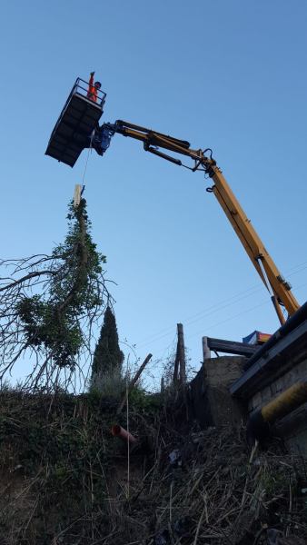 Taglio erba e potature