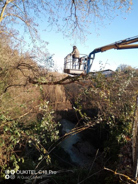 Taglio erba e potature