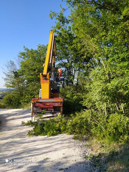 Taglio erba e potature