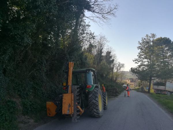 Taglio erba e potature